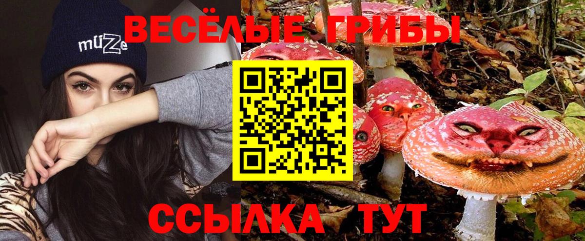 Галлюциногенные грибы прущие грибы  Вход с VPN  Нижний Новгород 