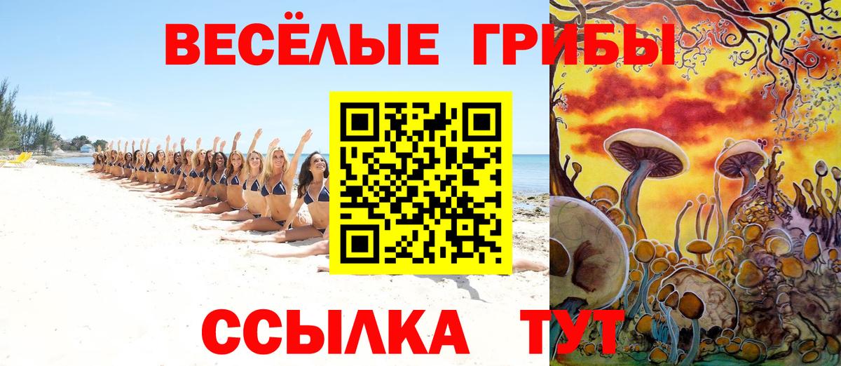 Галлюциногенные грибы Psilocybe Нижний Новгород